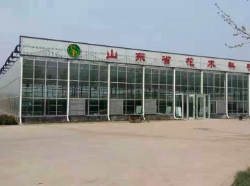 工程案例