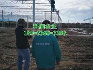 工程案例