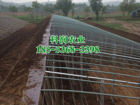 工程案例